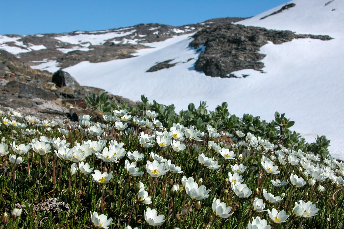 Nästa steg efter din första vandring i Jämtland-Härjedaleneg efter din första vandring