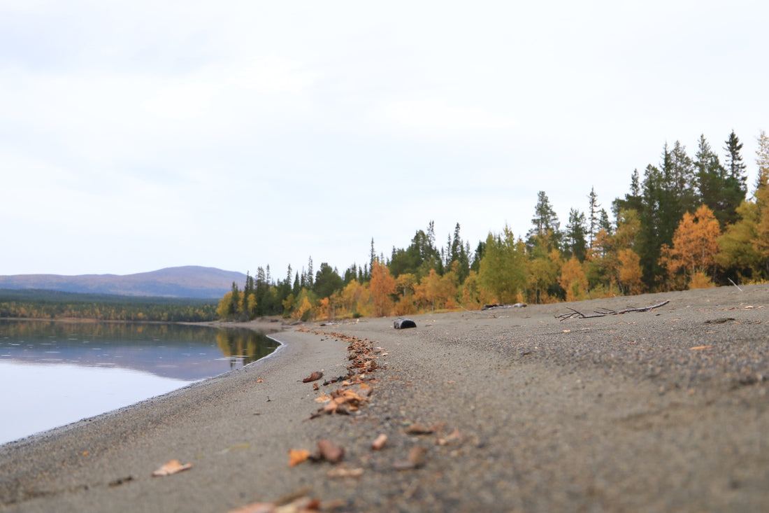 Återblick på inledning till vandring i Jämtland