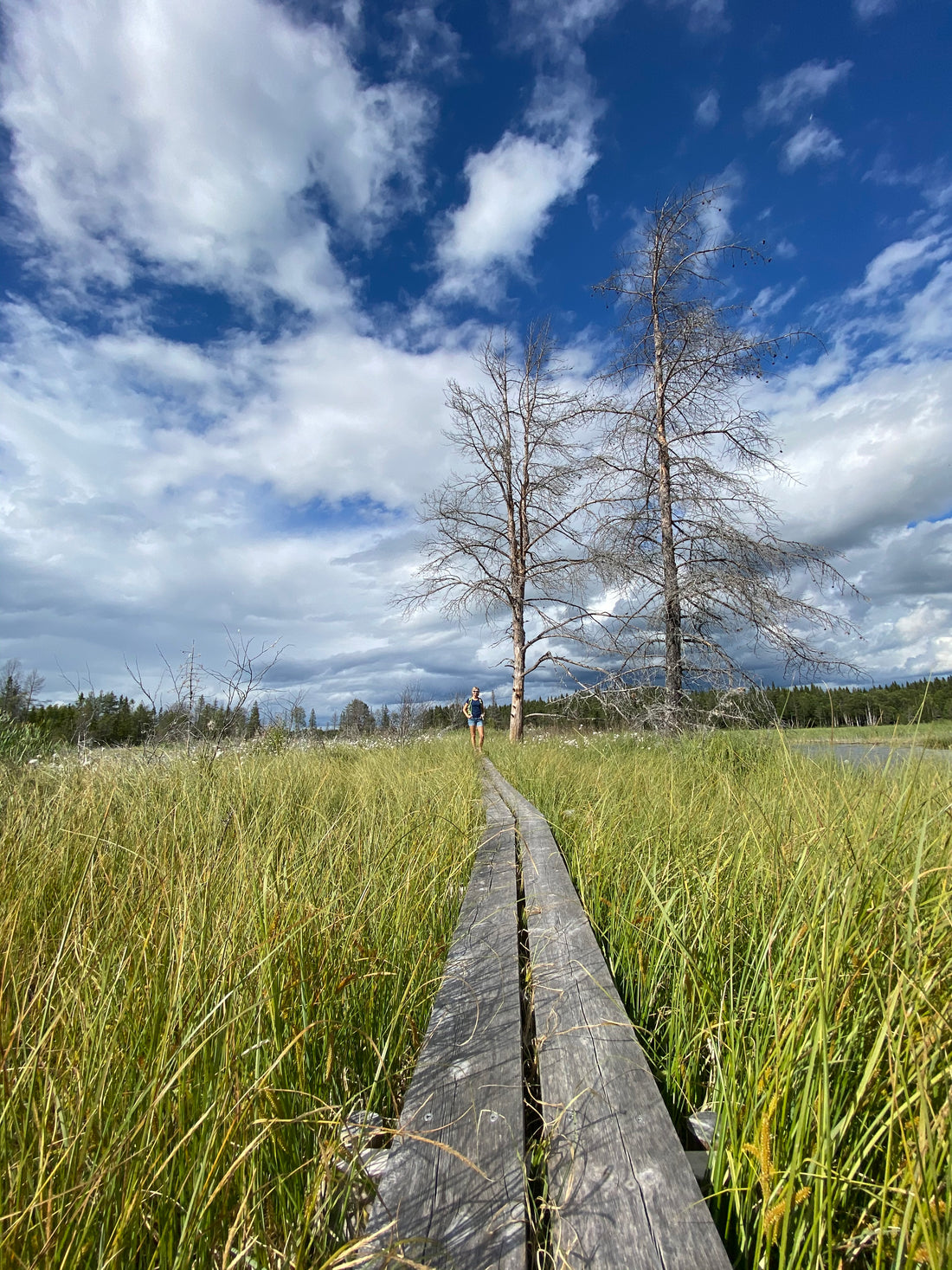 Välja rätt utrustning för vandring i Jämtland