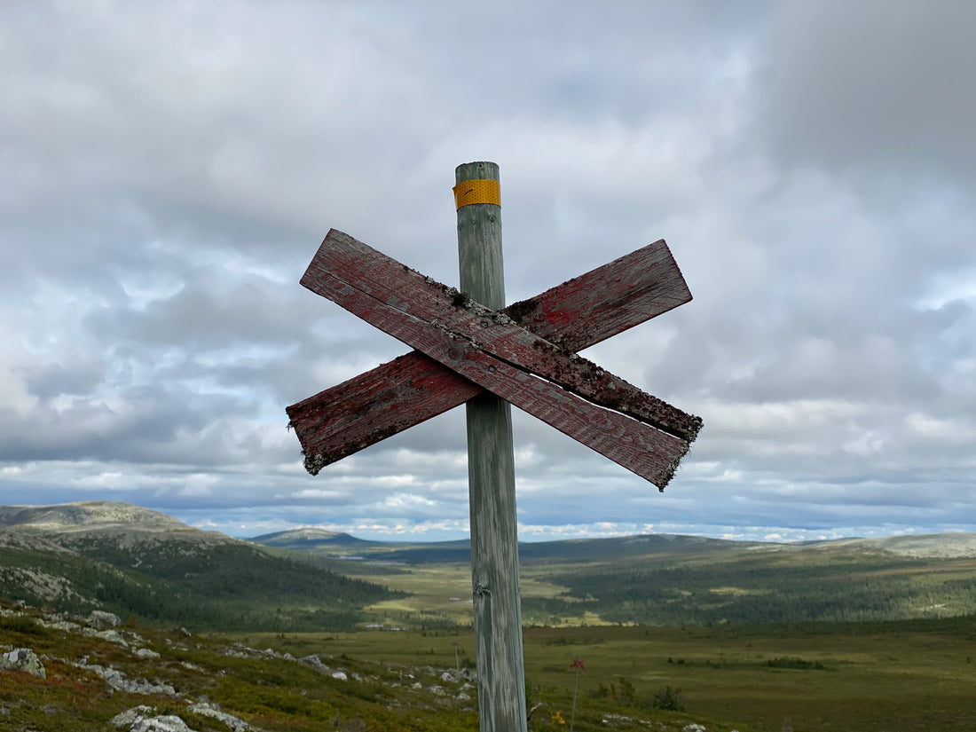 Att välja rätt vandringsslinga för dig i Jämtland