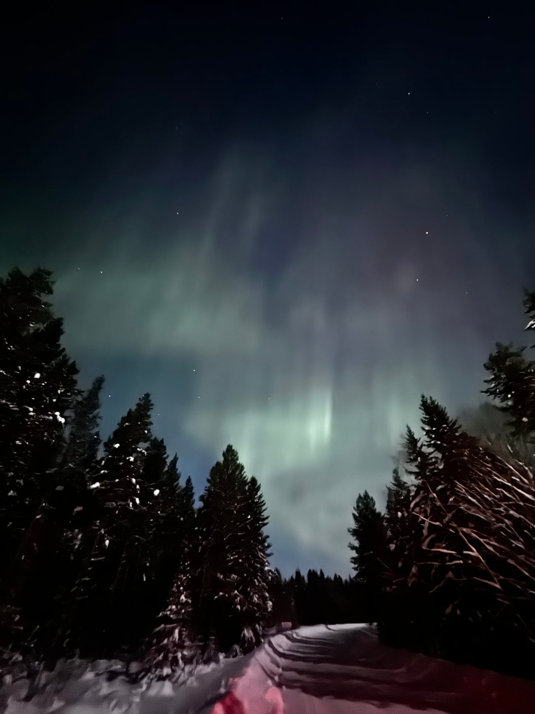 Hållbarhet och respekt för naturen under norrskensjakt