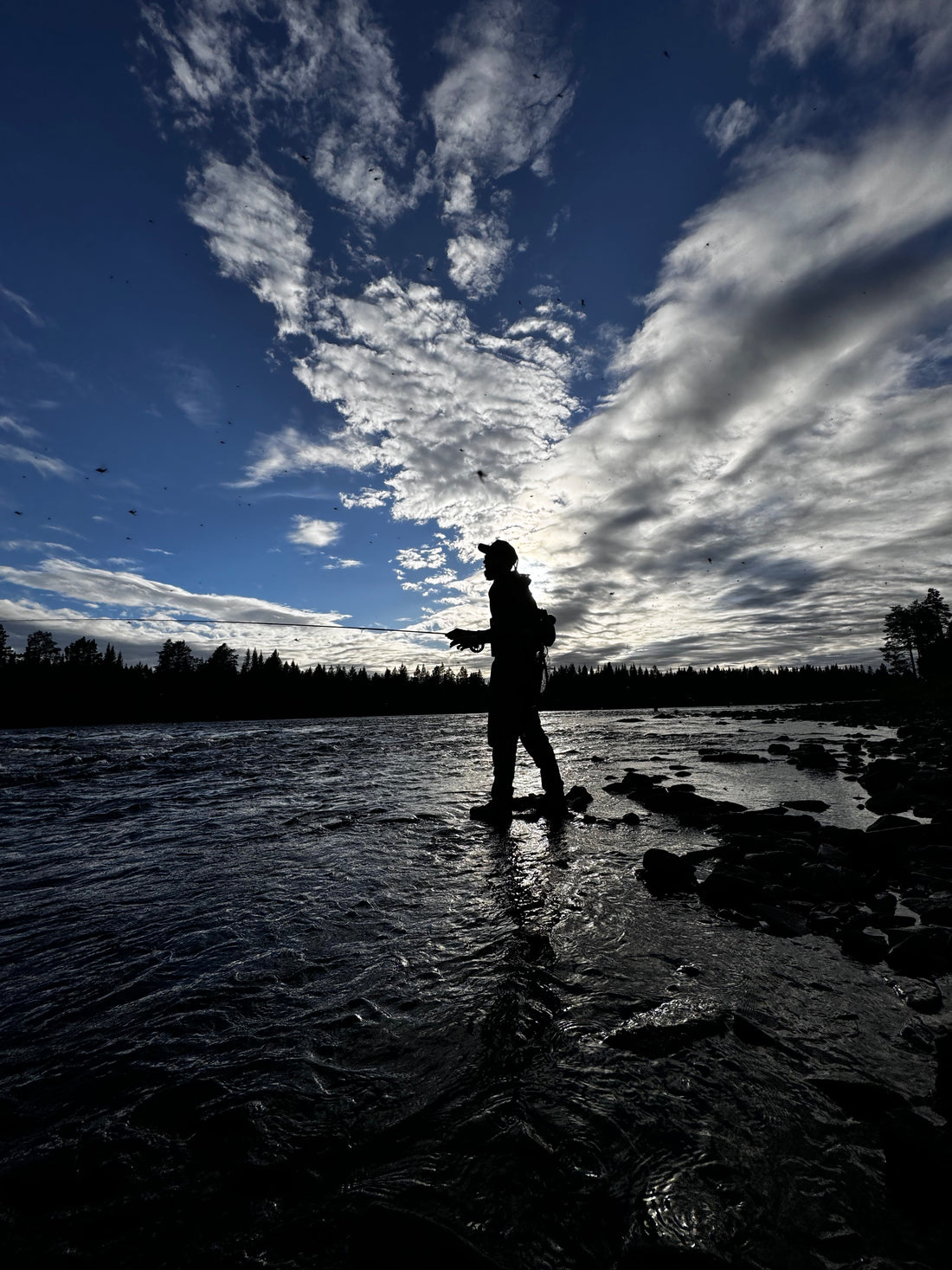 Utforska i Jämtland: Följ med oss till Dammån, Hårkan och Långan