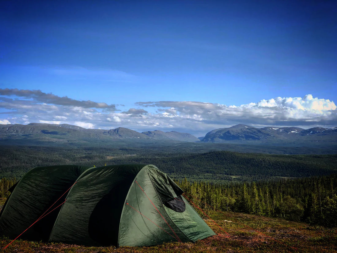 Swedish Wilderness Adventures lanserar ny webbplats för att förbättra upplevelsen för naturälskare