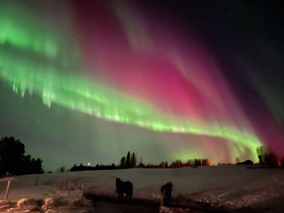 2025 – Året då Jämtland blir norrskensjägarnas paradis