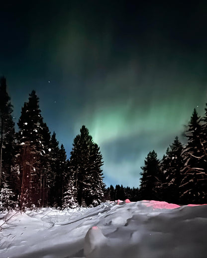 Begleiten Sie uns auf Nordlichtjagd – Wintercamp in den Bergen rund um Östersund