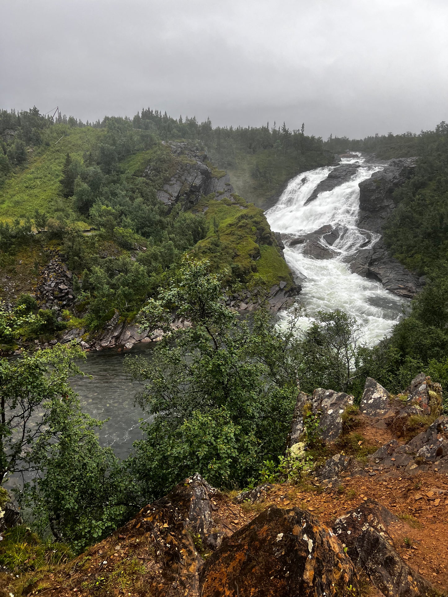 Upplev skogens helande kraft med vår närvarovandring