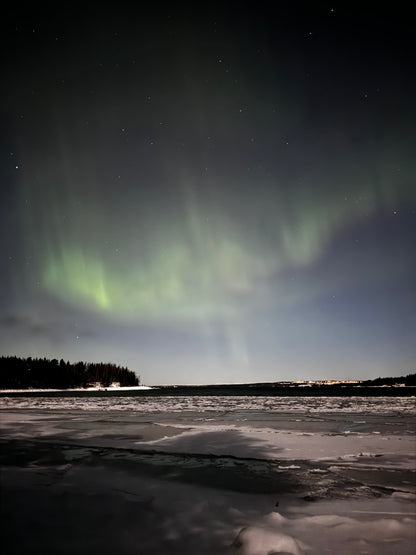 Följ med på norrskensjakt – vintercamp i fjällen runt Östersund