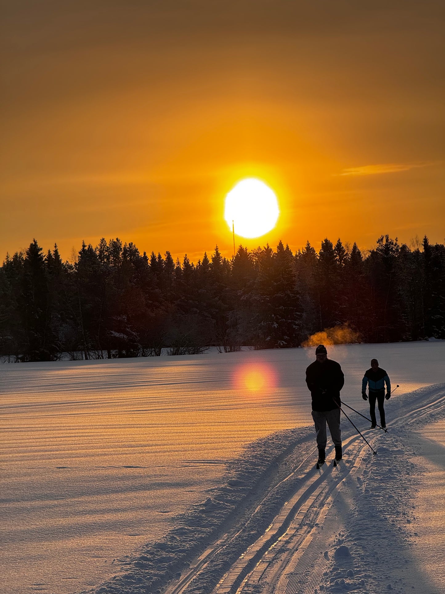 Vintervandring på turskidor, upplev fjällens fridfulla magi i Jämtland